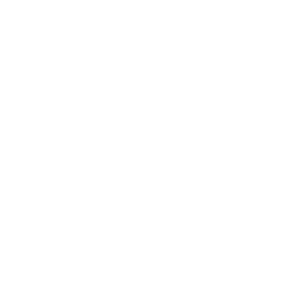 Mapa-Brasil-linhas-cor-branco.webp